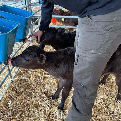 The Farmer, Scotty’s Farm